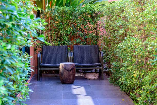 Comment bien organiser son jardin : Aménagement et entretien d'un